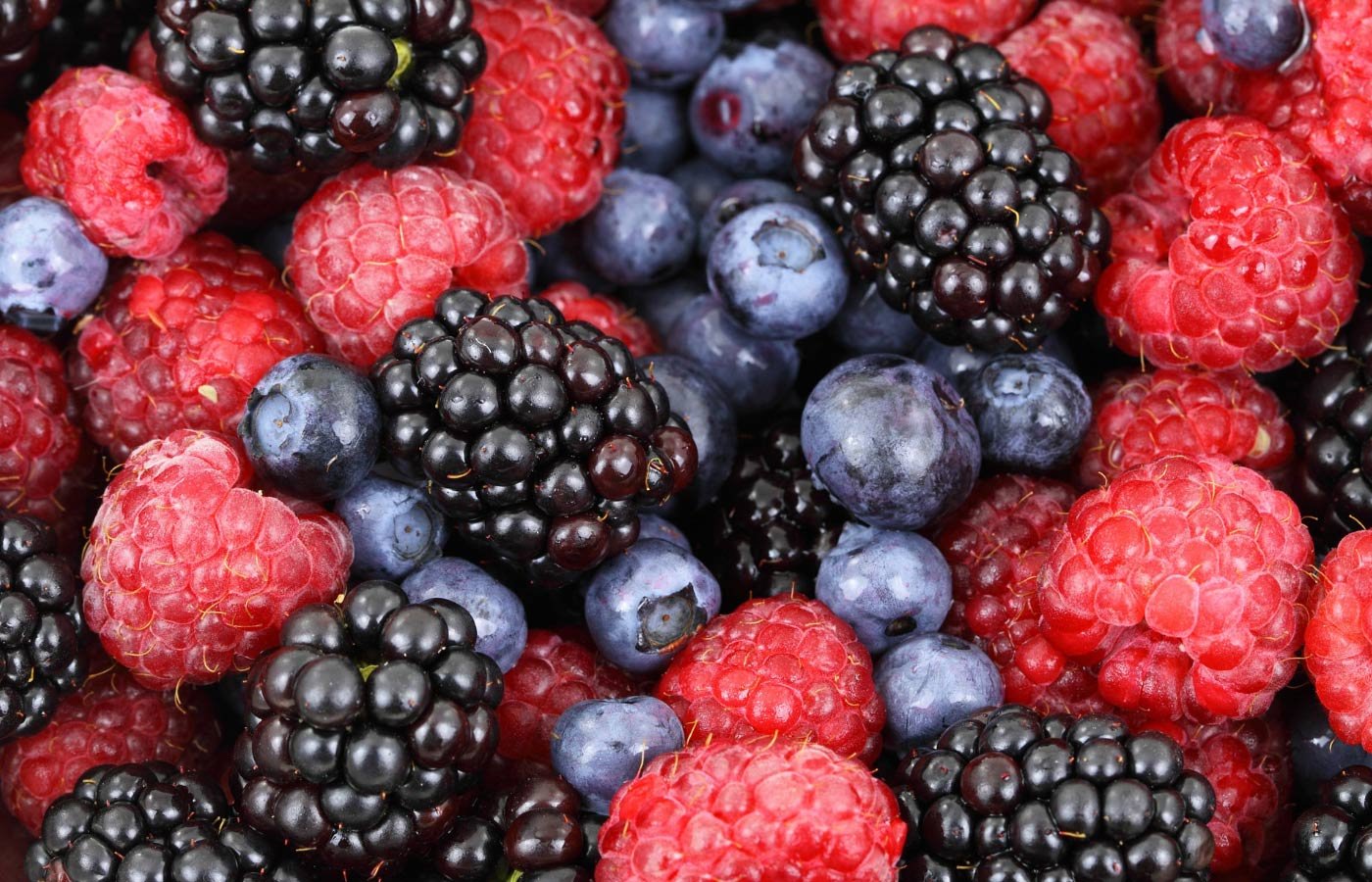 Glavrida dolor lorem